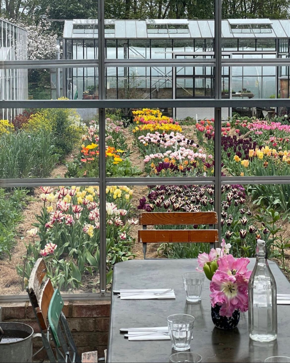 Oxfordshire Greenhouse Gardens