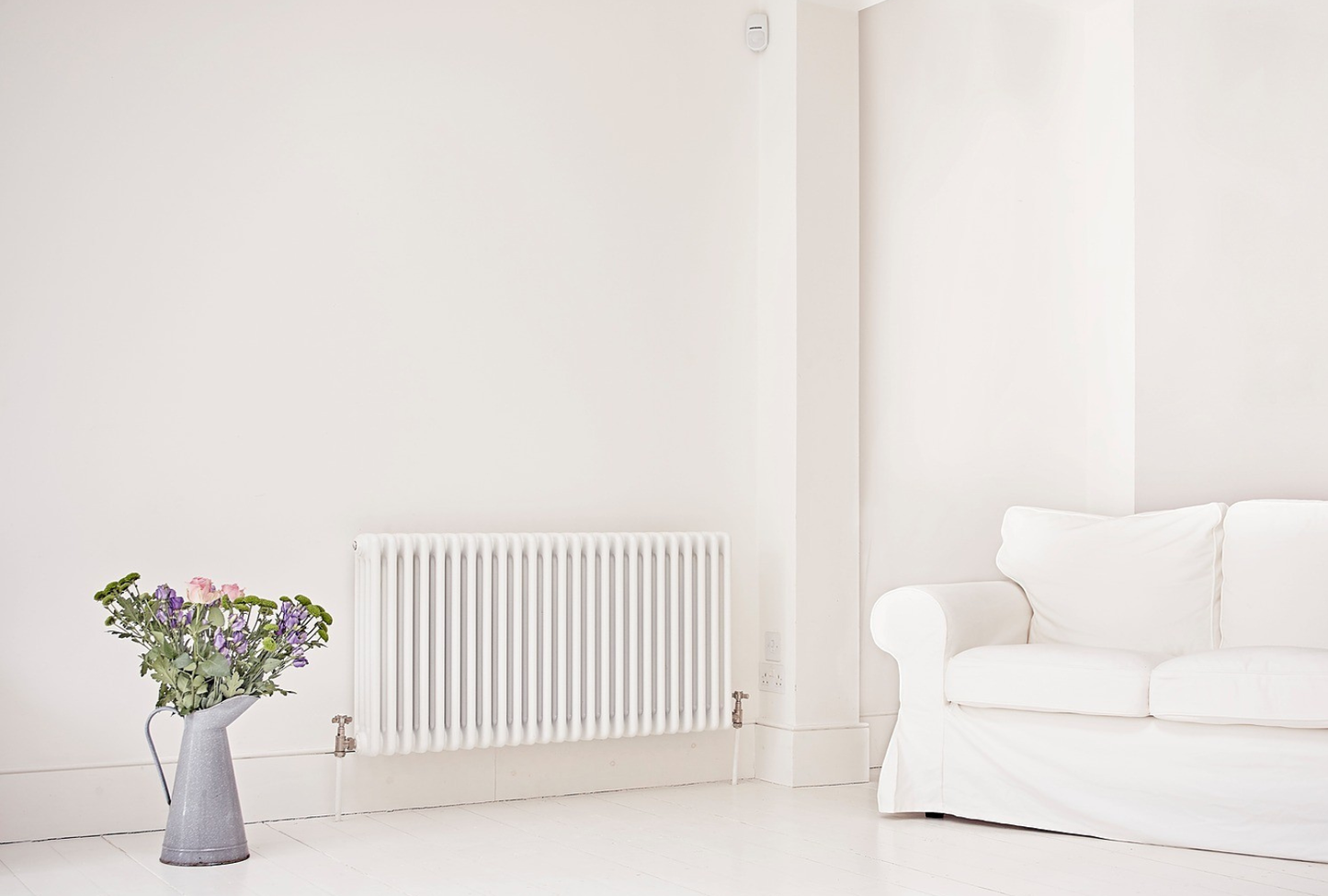 All White Boarded Studio House