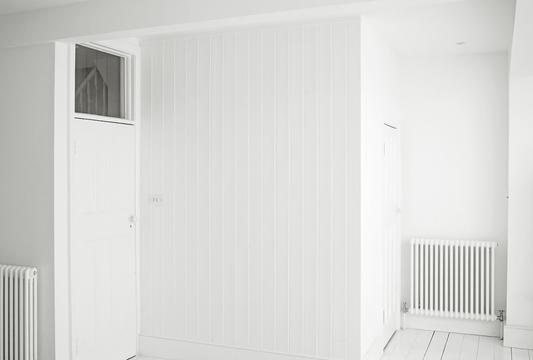 All White Boarded Studio House