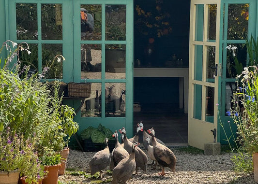 Oxfordshire Greenhouse Gardens