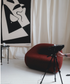 Studio Red